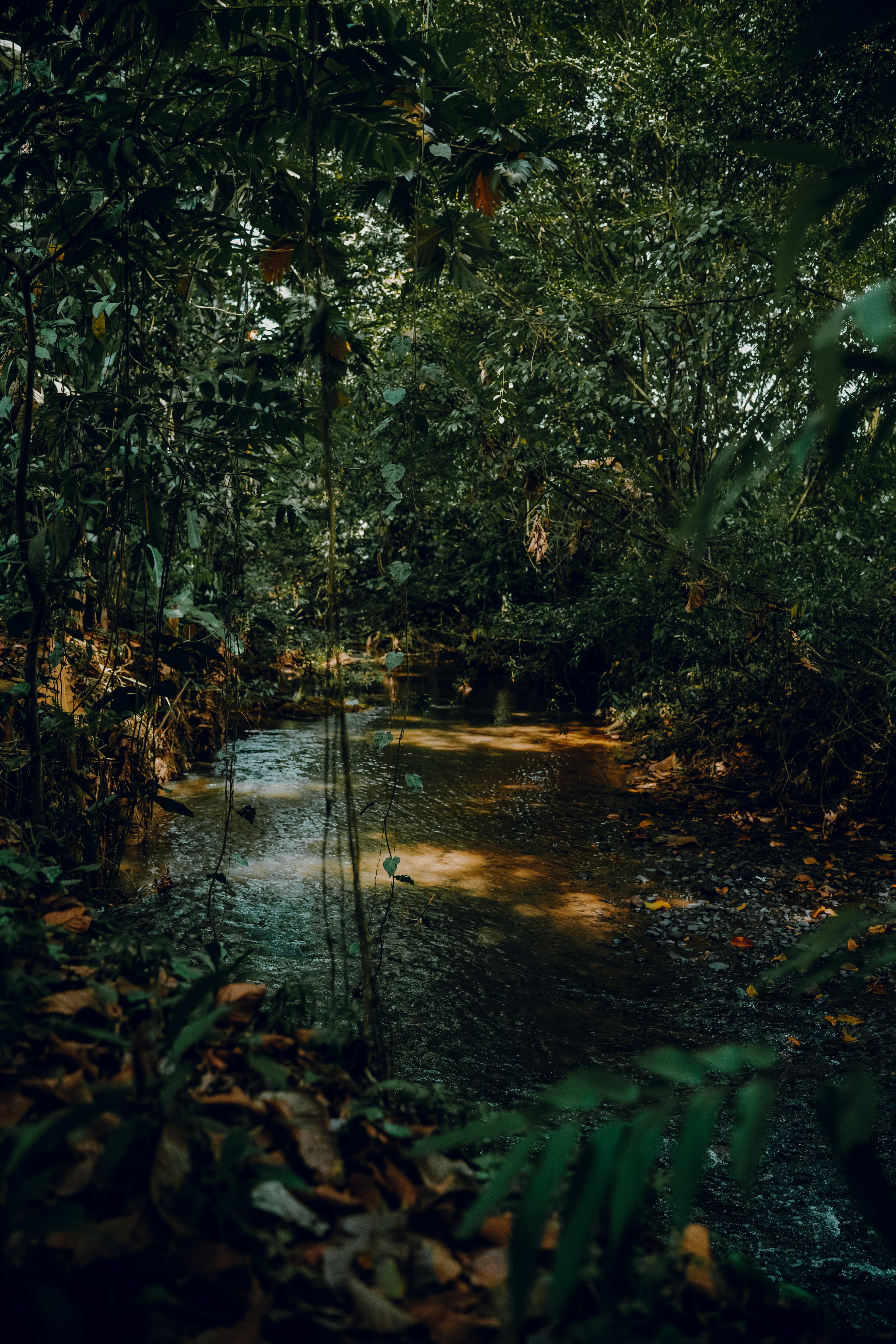 Mobile studio interior 4